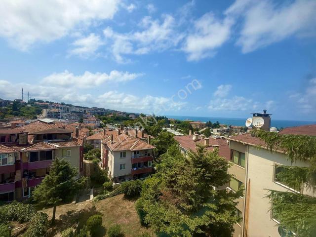 Çavuş Mahallesi, Şile içerisinde kiralık mülk