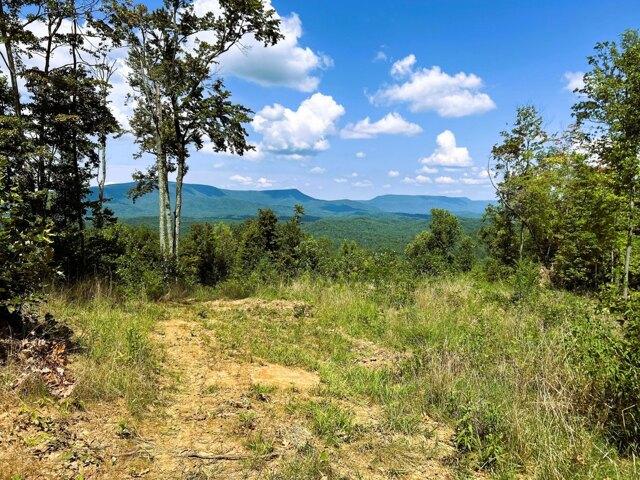 Land for sale in Reliance