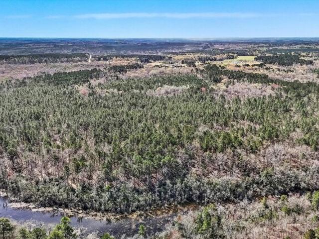 Land for sale in Wagener, South Carolina