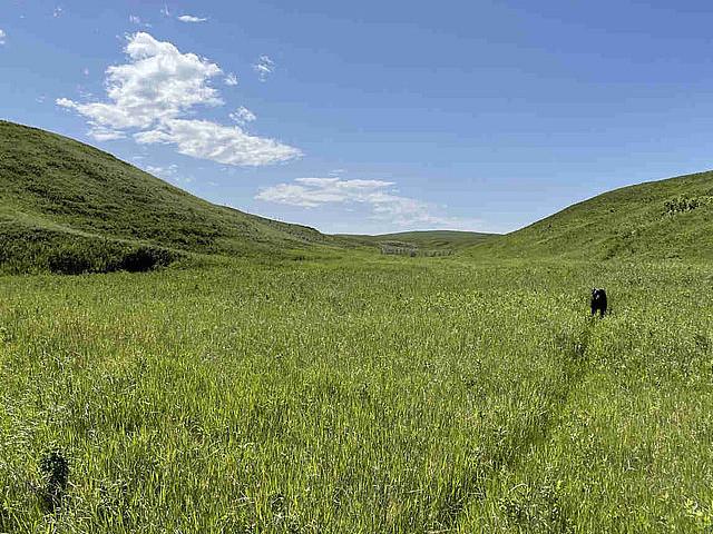 Land for sale in Lethbridge, Alberta
