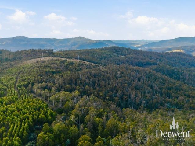 Land for sale in Lachlan, Tasmania