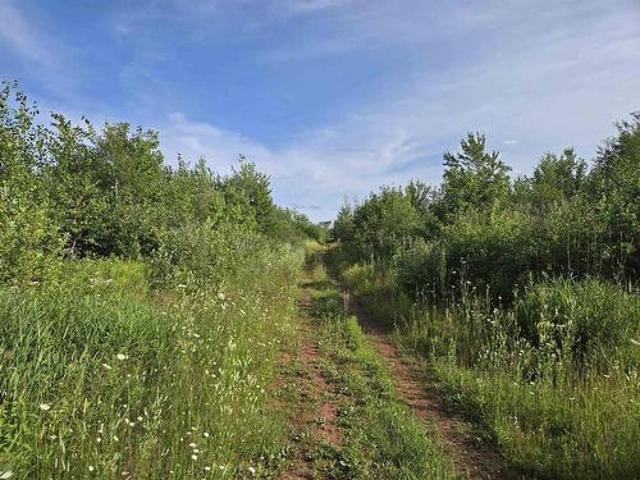 Land for sale in Prince, Prince Edward Island