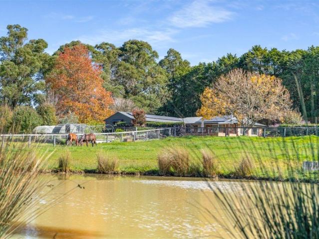 Cottage for sale in Avoca, New South Wales