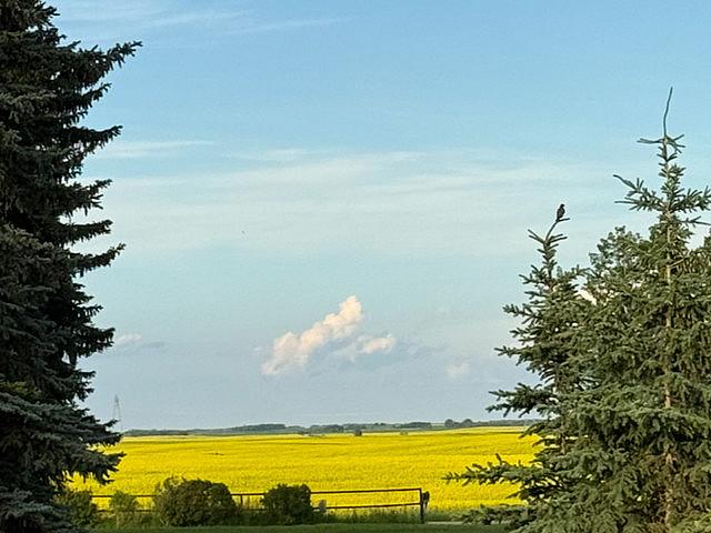 Land for sale in Camrose, Alberta