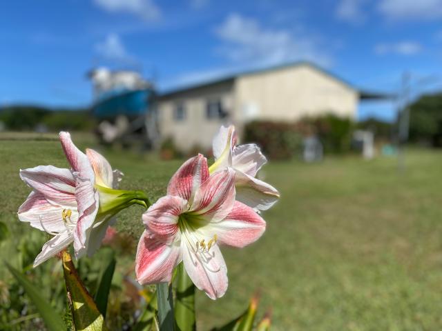 Cottage for sale in Etty Bay, Queensland