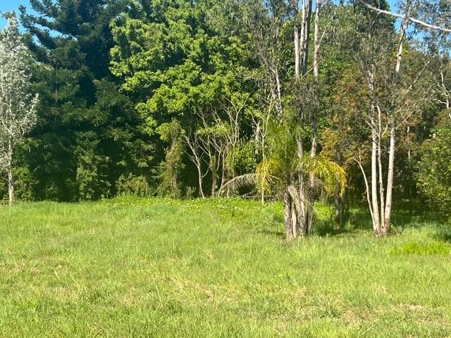 Property for sale in Strathdickie, Queensland