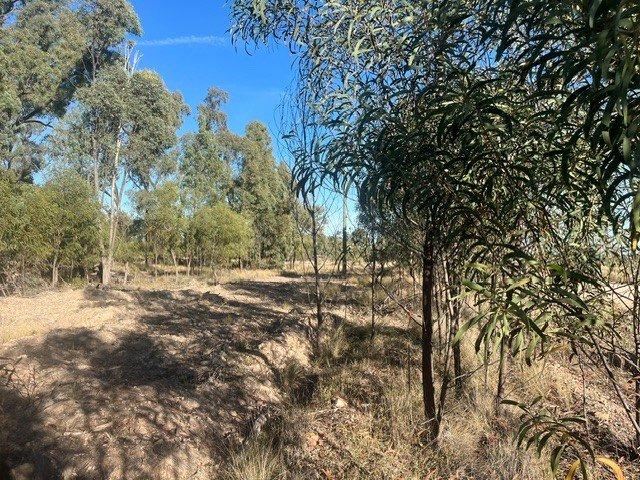 Cottage for sale in Tara, Queensland