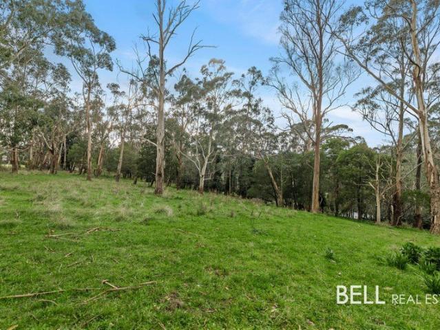 Land for sale in Camerons Creek, Victoria