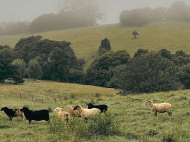 Land for sale in Robertson, New South Wales