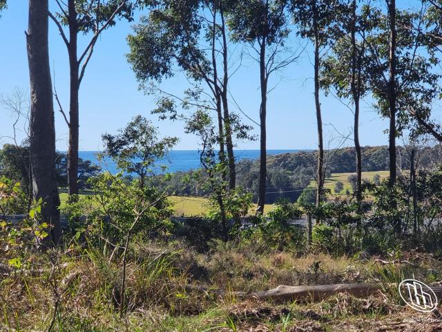 Property for sale in New South Wales