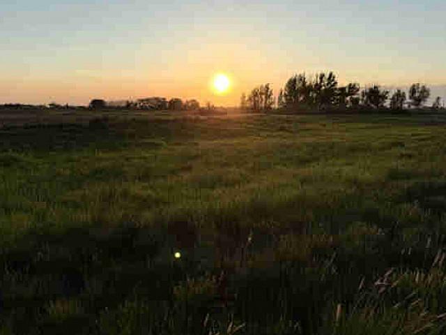 Land for sale in Alberta