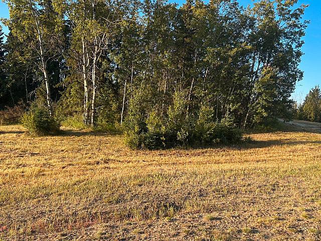 Land for sale in Alberta