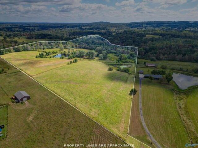 Land for sale in Boaz, Alabama