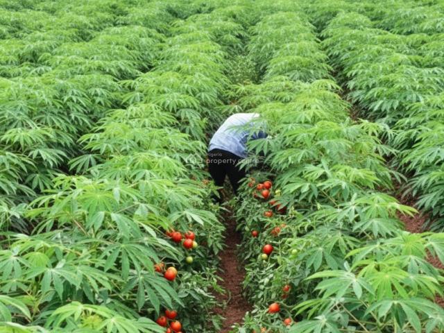 Land for sale in Ojo, Ibadan