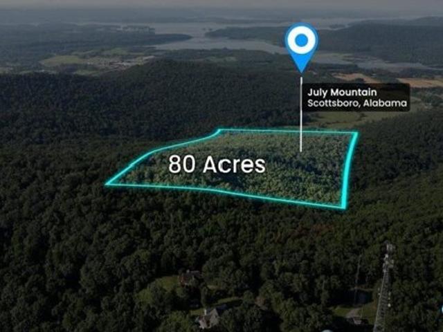 Land for sale in Scottsboro