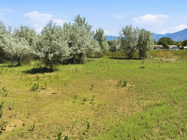 Land for sale in Ranchos De Taos, New Mexico
