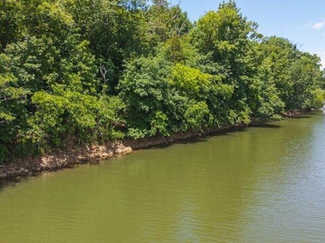 Land for sale in Lynch Station