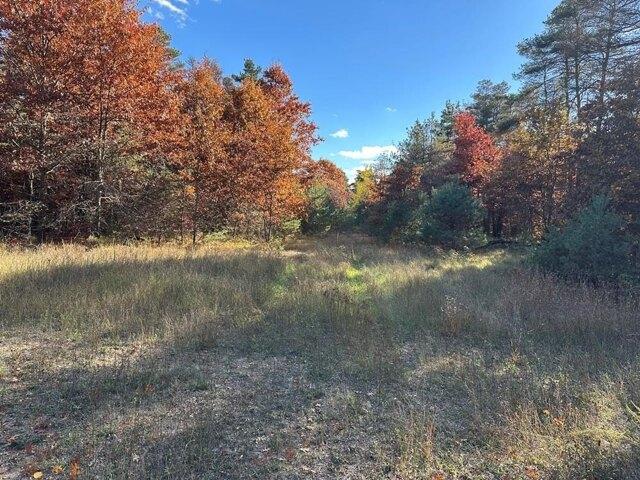 Land for sale in Harrison, Michigan