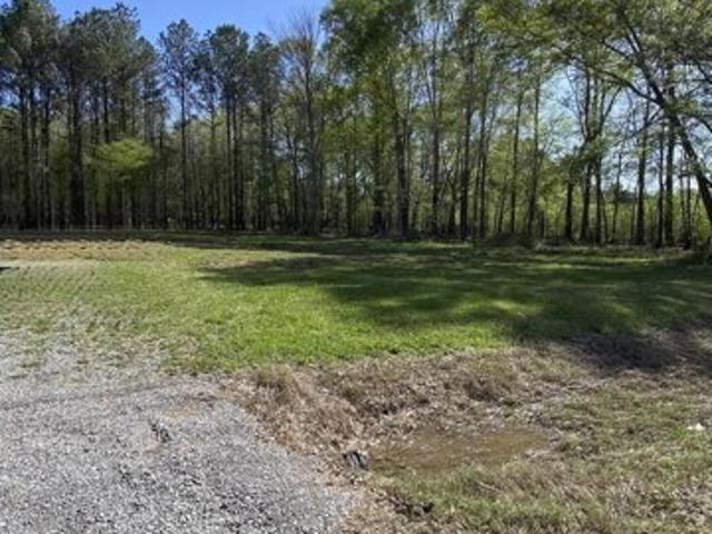 Land for sale in Scottsboro