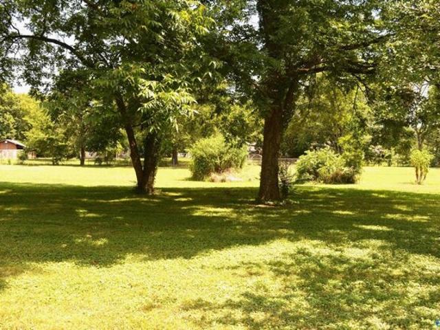 Land for sale in Scottsboro