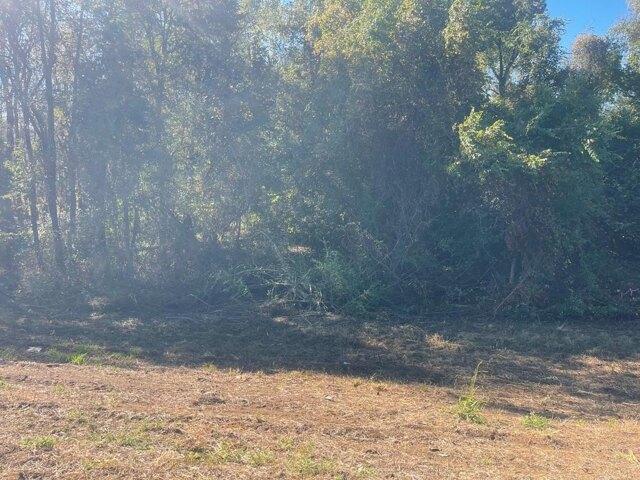 Land for sale in Ashford, Alabama