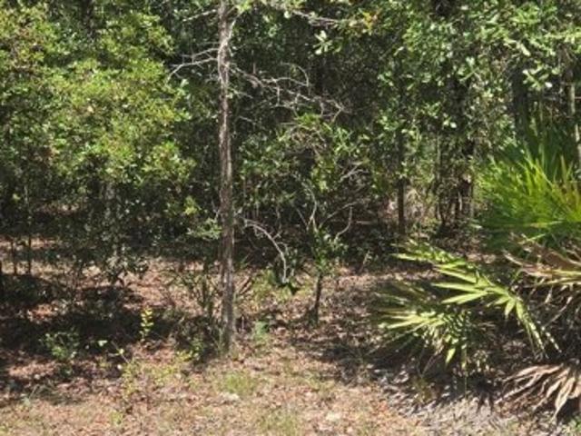 Land for sale in Glennville, Georgia