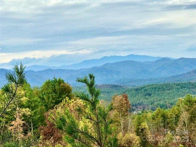 Land for sale in Lenoir