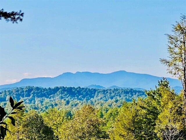 Land for sale in Lenoir