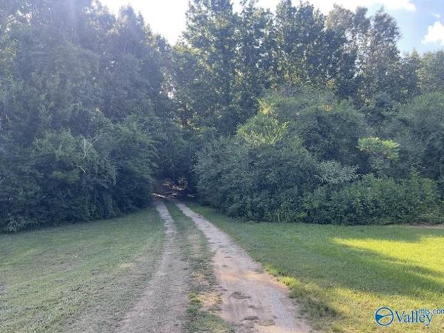 Land for sale in Guntersville
