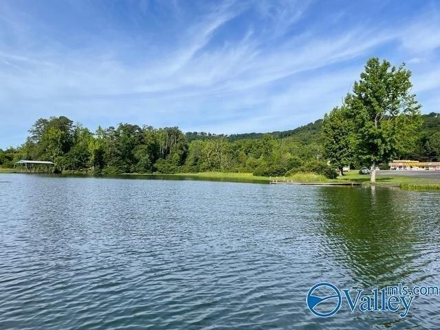 Land for sale in Scottsboro