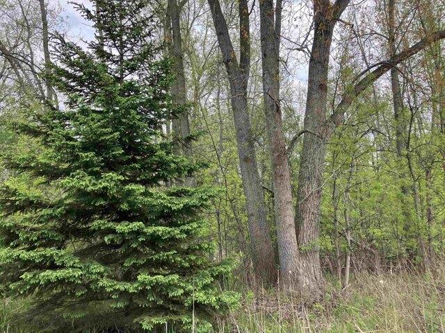 Land for sale in Midland