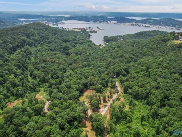 Land for sale in Guntersville, Alabama