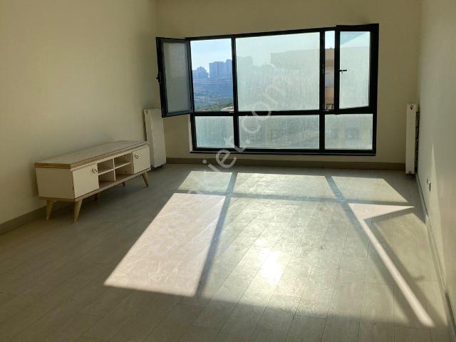Avcilar, İstanbul içerisinde kiralık mülk