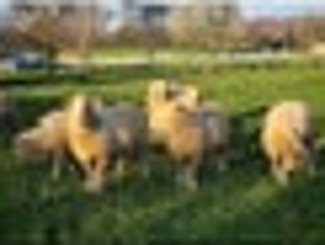 House for sale in Brightwater, Tasman