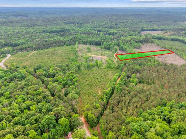 Land for sale in Alabama