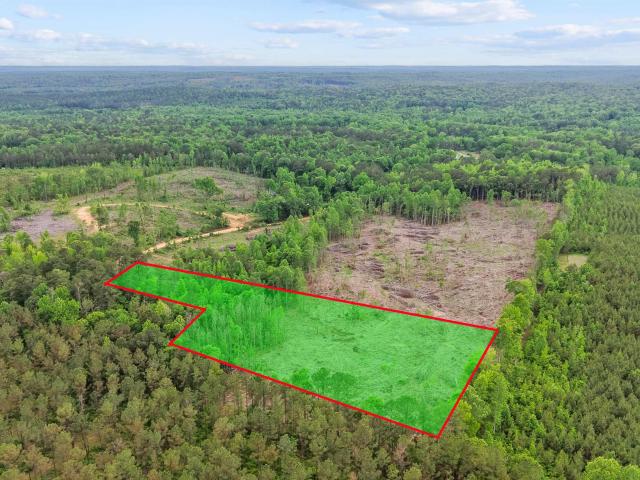 Land for sale in Alabama
