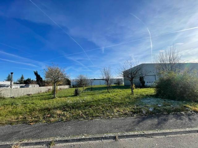 Local Commercial vente à Colmar-Ribeauvillé, Rumersheim-le-haut