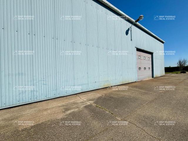 Local Commercial vente à Molsheim, Duppigheim