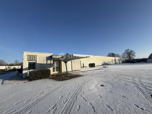 Local Commercial vente à Molsheim, Duppigheim
