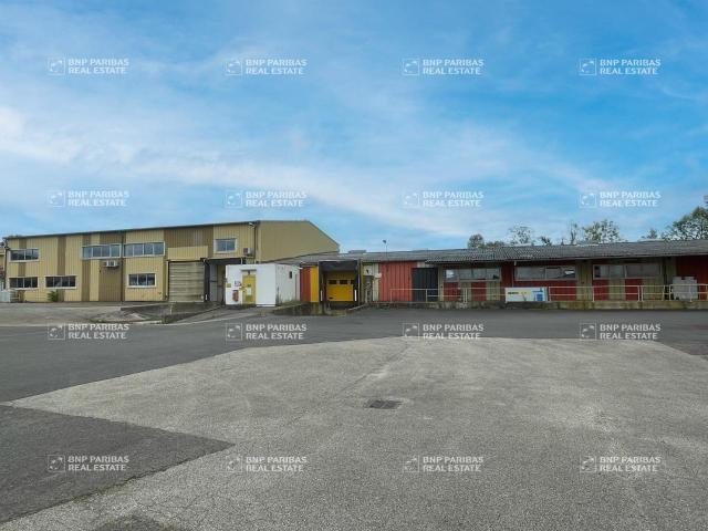 Local Commercial vente à Bourg-en-Bresse, Saint-trivier-sur-moignans