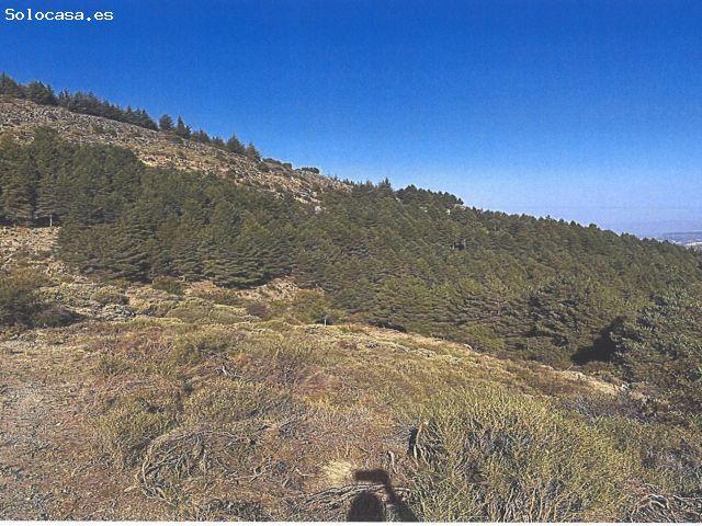 Local Comercial en venta en Comarca de la Vega de Granada, Andalucía