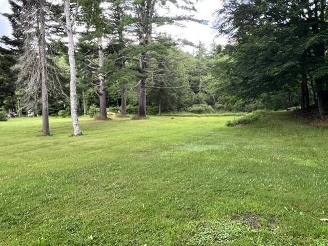 Land for sale in Charlestown, Sullivan County