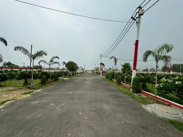 Land for sale in Jharli, Arunachal Pradesh