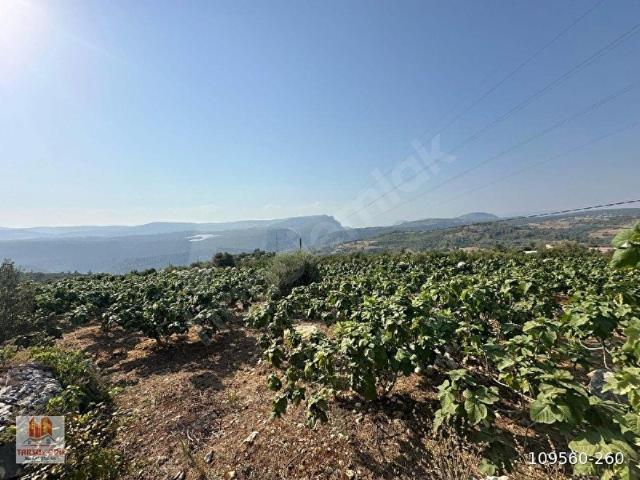Tarsus, Mersin içerisinde satılık mülk