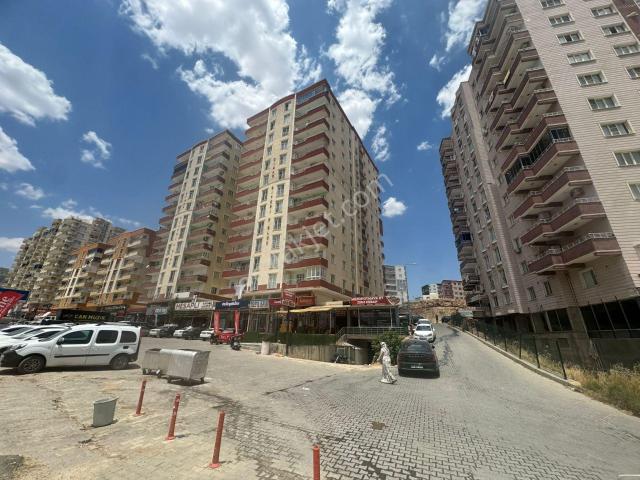 Mardin Merkez, Mardin içerisinde kiralık mülk