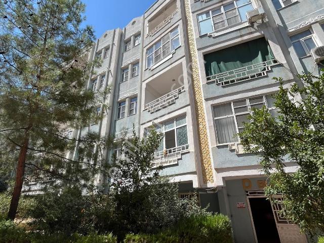 Mardin Merkez, Mardin içerisinde kiralık mülk