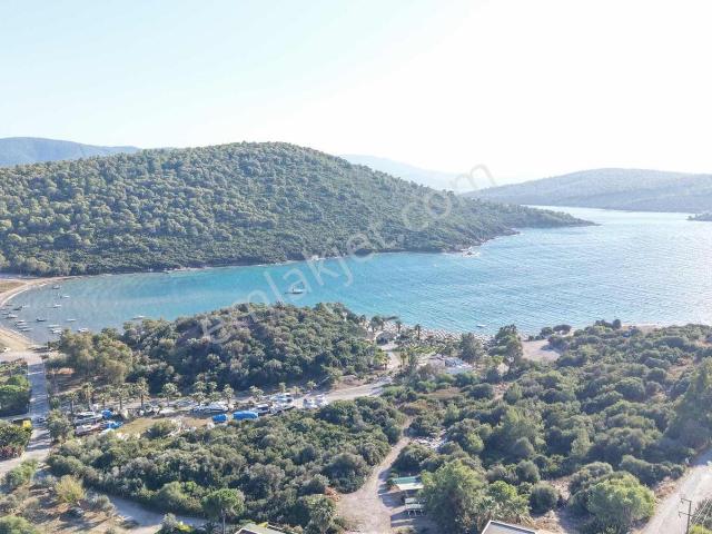 Milas içerisinde kiralık Villa