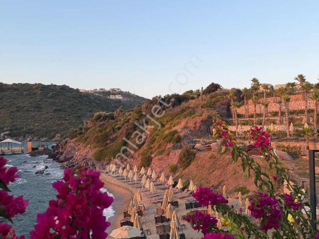 Milas, Muğla içerisinde kiralık Villa