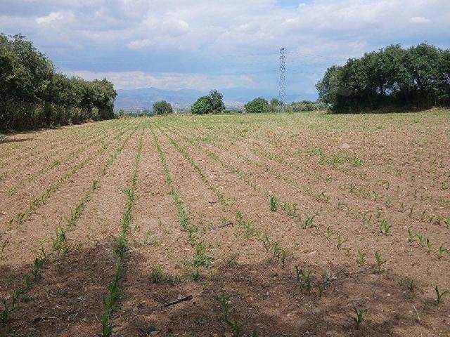 Ödemiş, İzmir içerisinde satılık Arsa