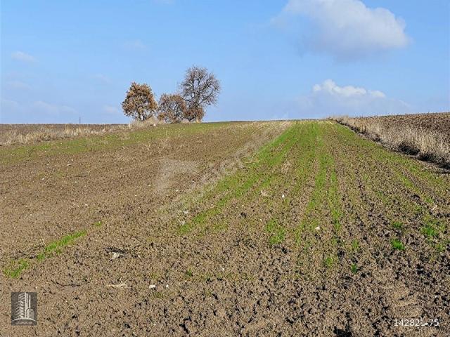 Mustafakemalpaşa, Bursa içerisinde satılık Arsa